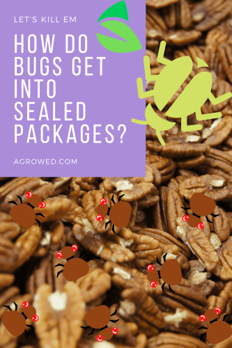 How Do Bugs Get Into Sealed Packages