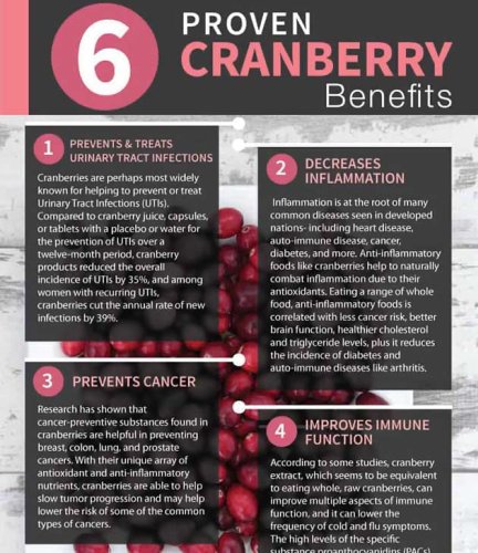 Cranberry Consumption May Help to Improve Memory and Prevent Dementia