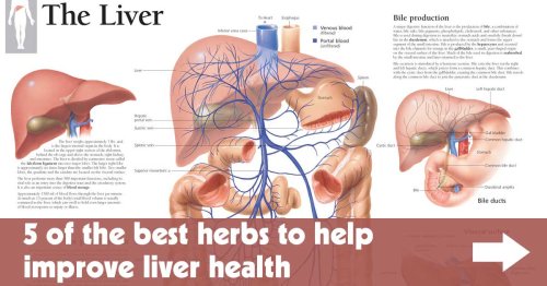 5 of the Best Herbs to Help Improve Liver Health