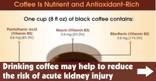 Drinking Coffee May Help to Reduce the Risk of Acute Kidney Injury