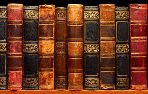 AIER - Daily Economy News cover image