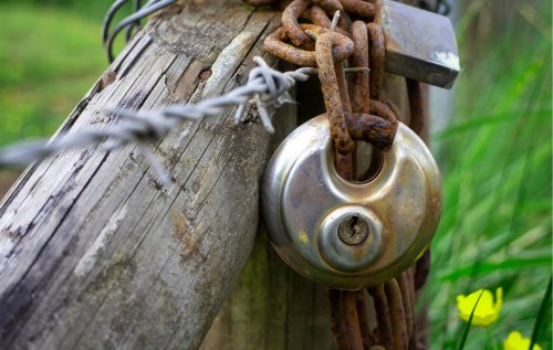 More Wetlands Purgatory for American Landowners