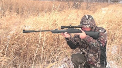 Best Break Barrel Air Rifle that Hits Like a Champ (Reviews and Buying Guide 2021) - Air Gun Maniac