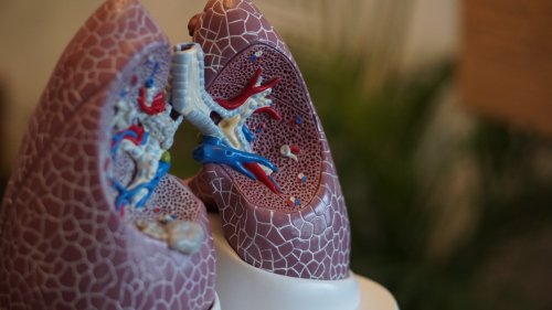 Domestic air cleaners improve heart health for COPD patients