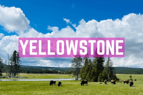 Yellowstone Route 3 Wochen | Stationen, Unterkünfte und Highlights