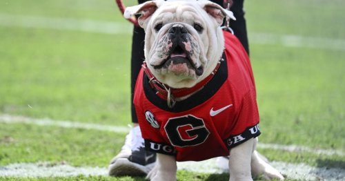 The Boom is here: Uga XI officially takes over as Georgia Bulldogs ...