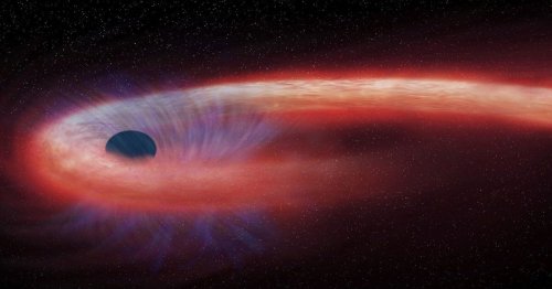 Scientists reveal what a black hole sounds like