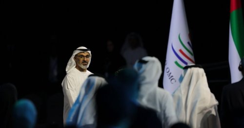 Activists allege 'heavy-handed' UAE restrictions at WTO talks