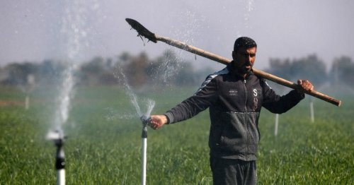 Sprinklers and drip irrigation help Iraqis beat drought