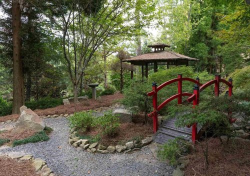 Take a look inside a Birmingham radio legend’s Japanese garden home
