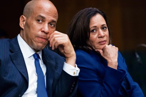 Kamala Harris crumbles as rival gains steam in new Democratic primary poll