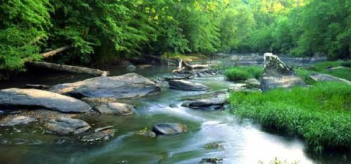 Alabama Pay Attention To Supreme Court Vote Against Florida In Water 