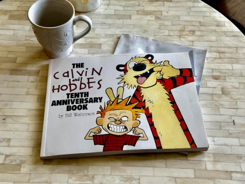 Whitmire: What I learned from Calvin and Hobbes