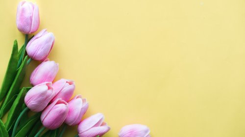 Dear Annie: Happy Easter & Passover
