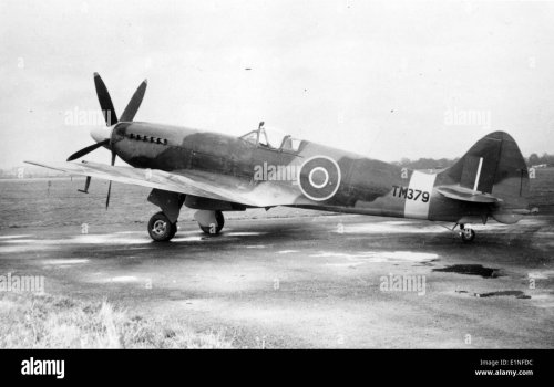 Supermarine Spitfire Mk.21, TM379, modified as Seafire F Mk 45 ...