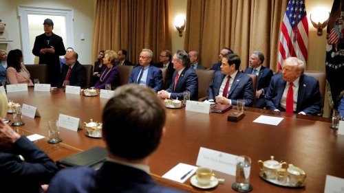 Trump’s cabinet ready to take back power with Musk stepping back, sources say