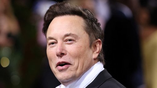 Elon Musk had twins last year with one of his top executives: Business Insider