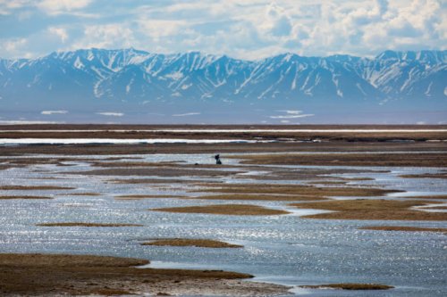 Interior secretary announces plans to advance new Arctic National Wildlife Refuge oil leasing