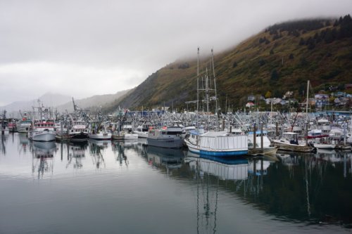 Dire condition of Alaska’s seafood industry has many causes and no easy fixes, experts say