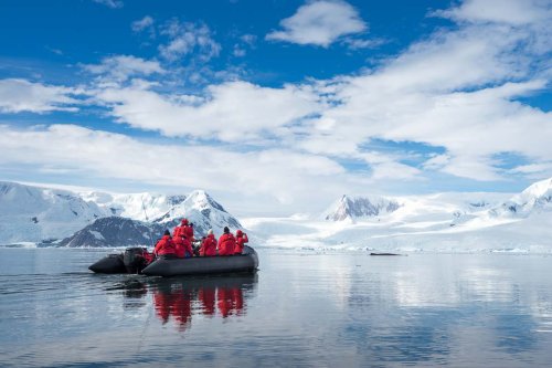 5 Tips for Cruising Antarctica: Perfect Your Polar Adventure