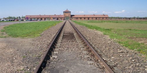On Yom HaShoah, Three New Holocaust Films Are Worth Watching