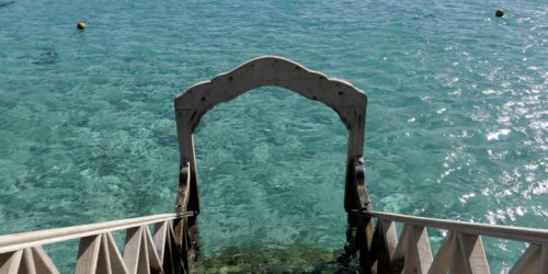 Two Women Killed in Shark Attacks in Egypt’s Red Sea