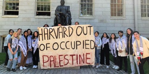 Harvard Professor Resigns From Anti-Zionist Groups After Antisemitic Outrage