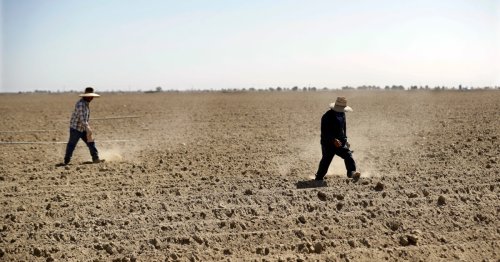 Climate crisis: Will small California farms survive soaring heat?