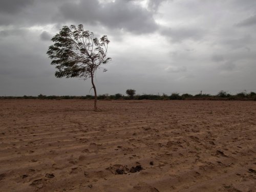 India receives lowest rains in 5 years, agricultural production to be hit