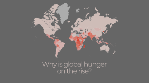 Why do more than 800 million people live in hunger?