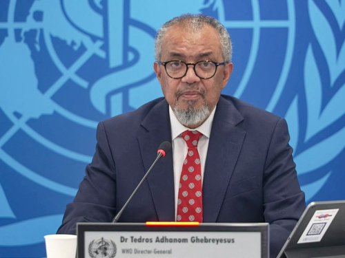 WHO confirms five cases of hantavirus linked to cruise ship | Flipboard