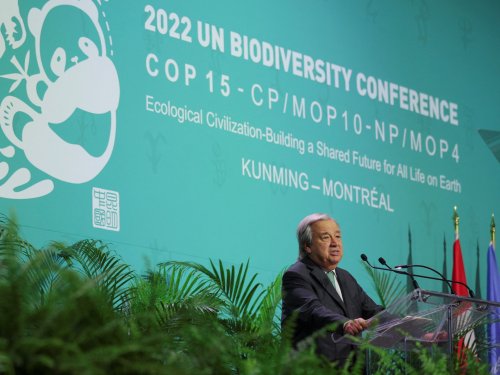 ‘Humanity has become a weapon of mass extinction’: UN