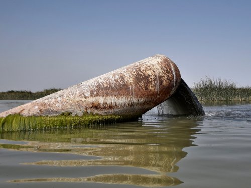 Iraq: Ancient Mesopotamian marshes threatened by sewage