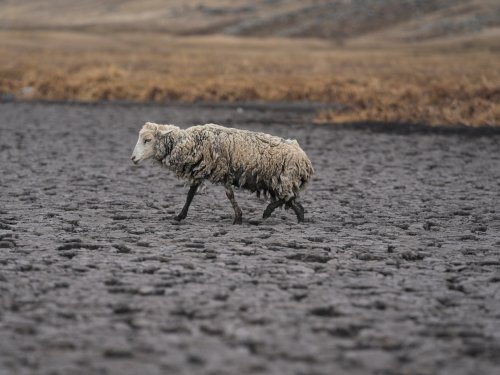 Lagoon dries up as Peru’s southern Andes faces drought