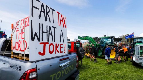 New Zealand Farmers Protest World s First Livestock burp Tax Flipboard