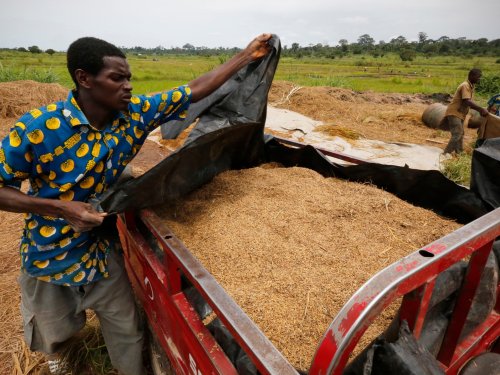 How Inflation Made West Africa’s Prized Jollof Rice A Pricey Meal ...