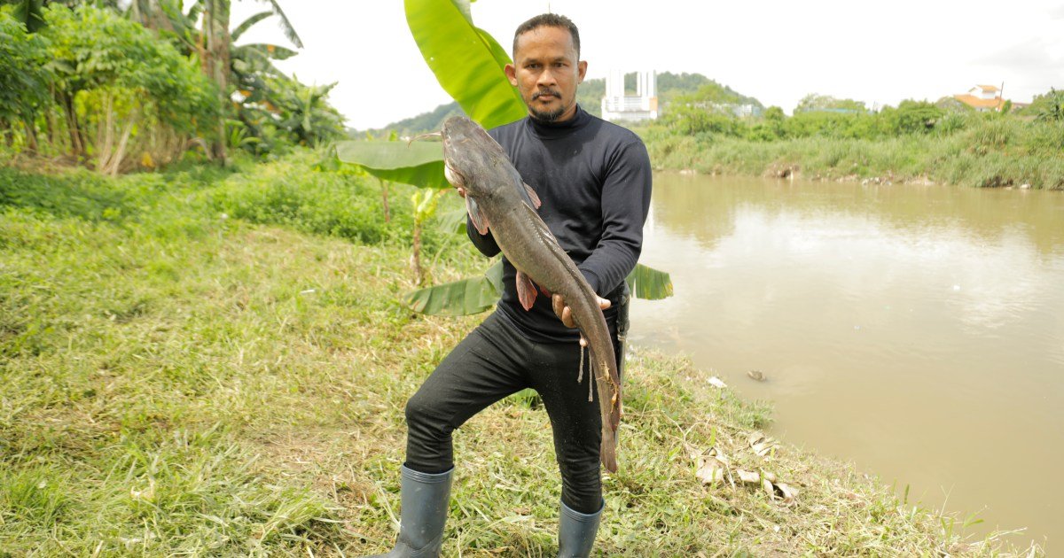 Malaysia’s ‘fish hunters’ target invasive species, one catch at a time