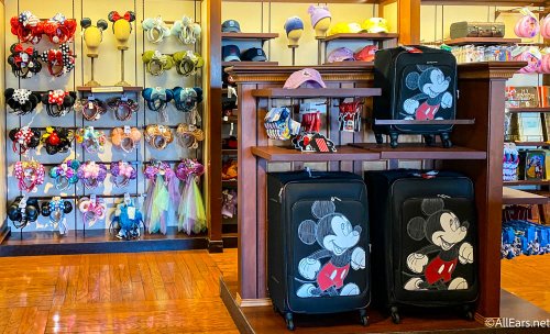 How to Pack Light for a Day in Disney World (And Not Regret It) - AllEars.Net