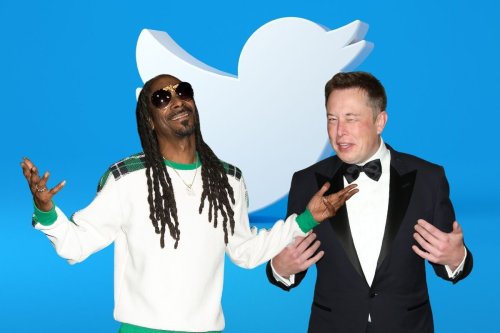Elon Musk Issues Reply To Snoop Dogg's Offer To Buy Twitter