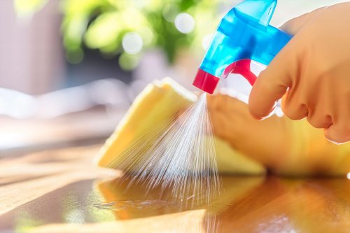 Sanitize vs. Disinfect: What's the Difference?