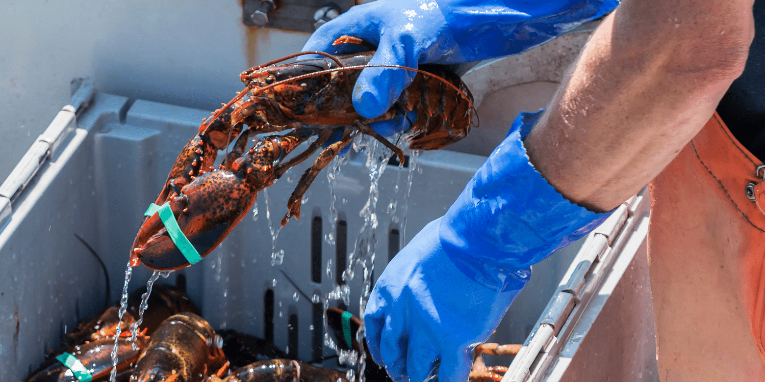 Whole Foods Will No Longer Sell Maine Lobster—What Does That Mean for You?