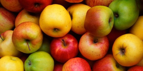 How to Store Apples to Keep Them Fresh for Months