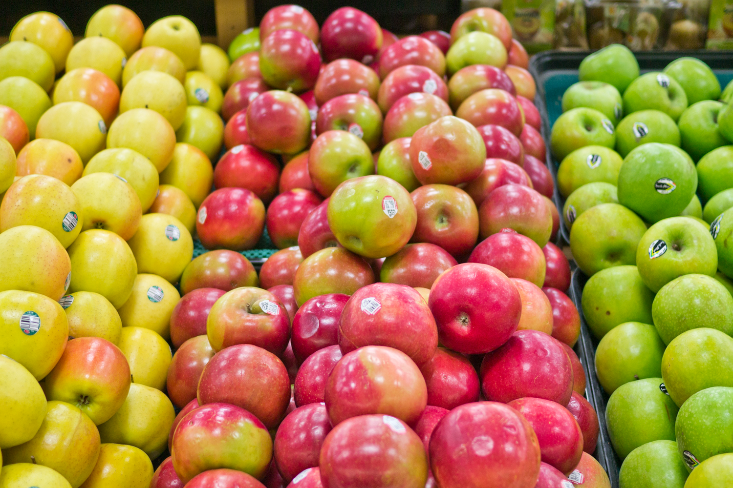 Your Guide to the Best Apples for Baking and Cooking
