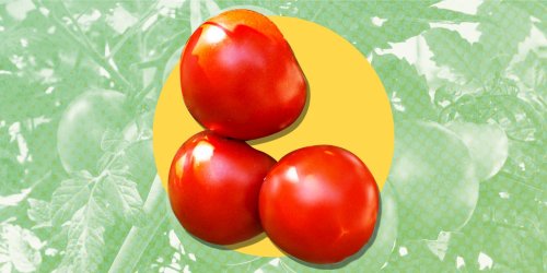 There’s a New Tomato Coming to Stores That Promises To Be Perfectly Ripe Year Round