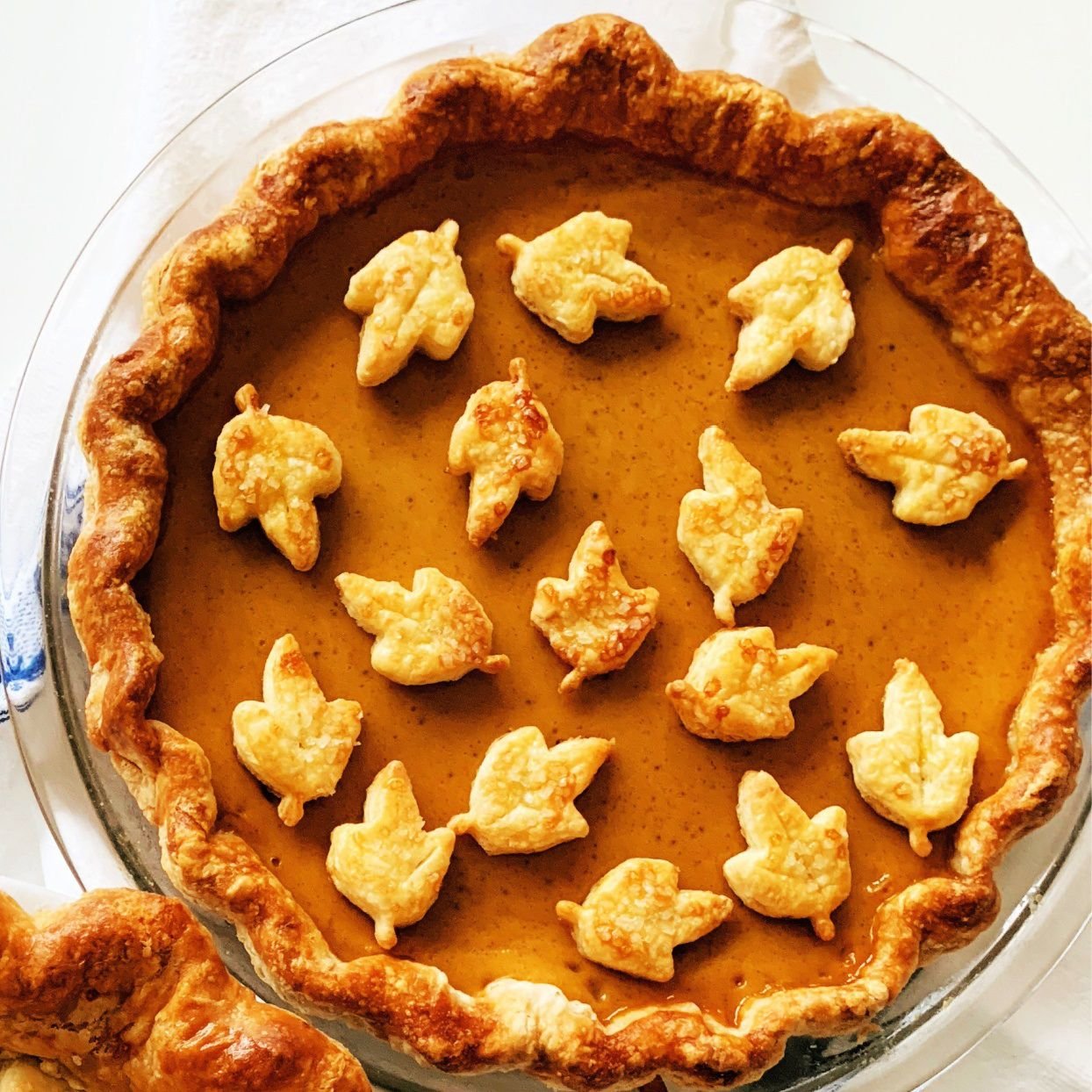 Our 10 Best Pumpkin Pie Recipes of All Time Are the Pick of the Pumpkin Patch