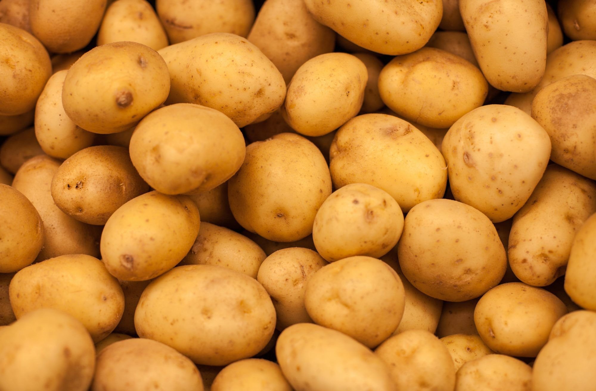 Where to Store Potatoes If You Don't Have a Root Cellar