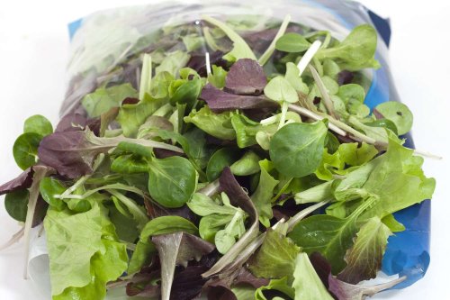 How to Keep Bagged Salad Fresh As Long As Possible