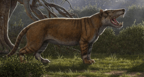 Scientists Uncover A Prehistoric Predator In Africa That Had Three Pairs Of Fangs