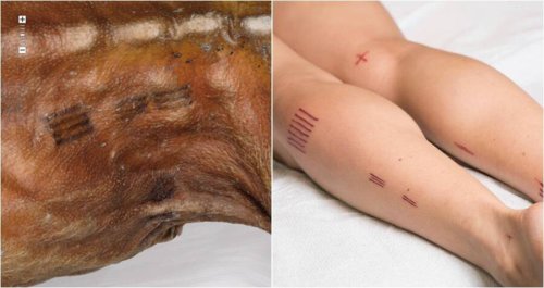 Artist Recreates Ötzi The Iceman’s 5,300-Year-Old Tattoos On Her Body — Using Her Own Blood