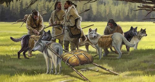 First Settlers In The Americas Brought Domesticated Wolves With Them ...